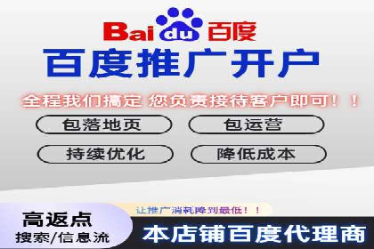 百度竞价竞争分析：实战案例与应对策略